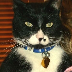 Meet your Posher, Susana